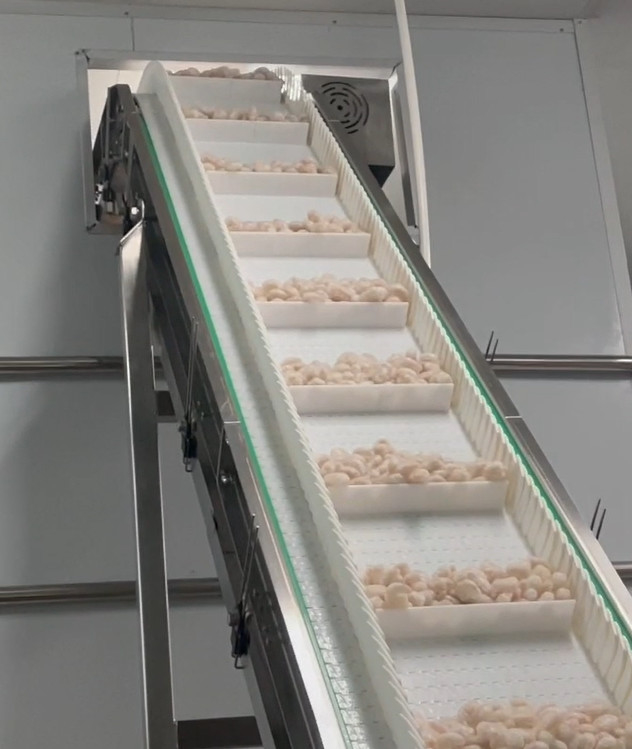 SS 304 van de Machine het Ijzige Garnalen van de Wegersverpakking van de de Workshopverpakking van het het Systeemdoel Gewicht 200g~1500g