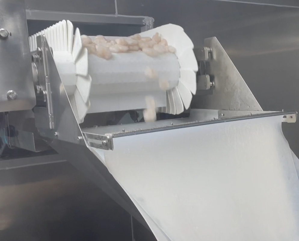 SS 304 van de Machine het Ijzige Garnalen van de Wegersverpakking van de de Workshopverpakking van het het Systeemdoel Gewicht 200g~1500g
