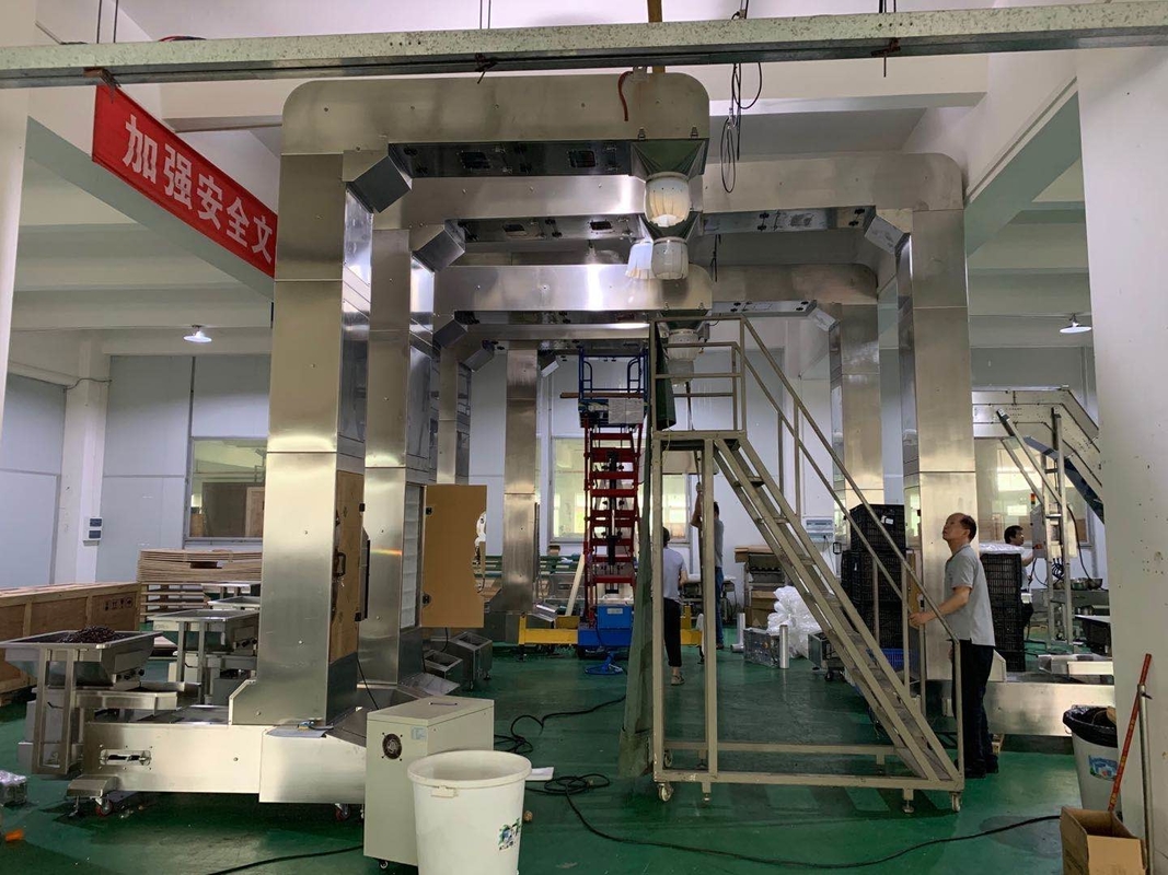 aangepaste z-type jakobsladder die met de verpakkingssysteem van de multiheadweger werken