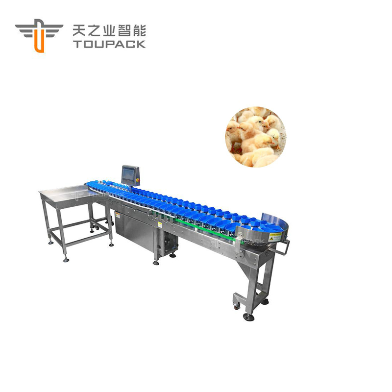 Abalone van de douanekammossel van het de Sorteermachine Automatische Fruit van het Kippengewicht de Data Sorterende Machine