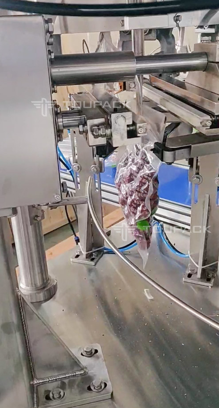 Automatische roterende zakvulmachine voor Doypack, voorgemaakte stand-up pouch rode jujube