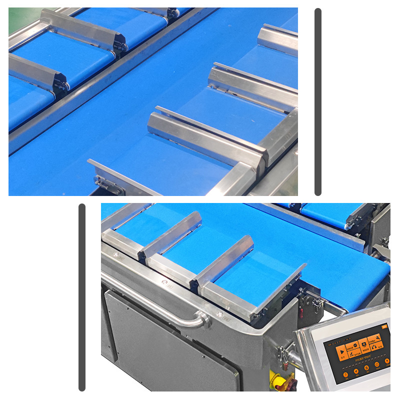 Chinese rookworst half-automatische 12 hoofd multihead weigeraar verpakkingsmachine gehard saus verpakking verpakkingsmachine