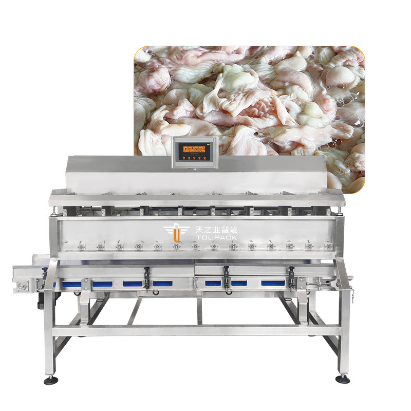 Irregular Material Weighing Packing Solution Sticky Products Seafood Weighing and Packaging Line