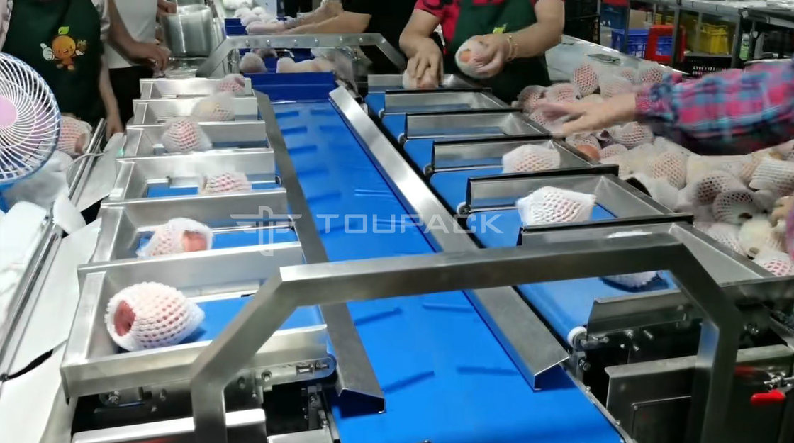 Kussenrolverpakkingsmachine Peer Appel Gewicht Combinatieschaal Fruit Combinatieweger Hoge Precisie Verpakkingsmachine