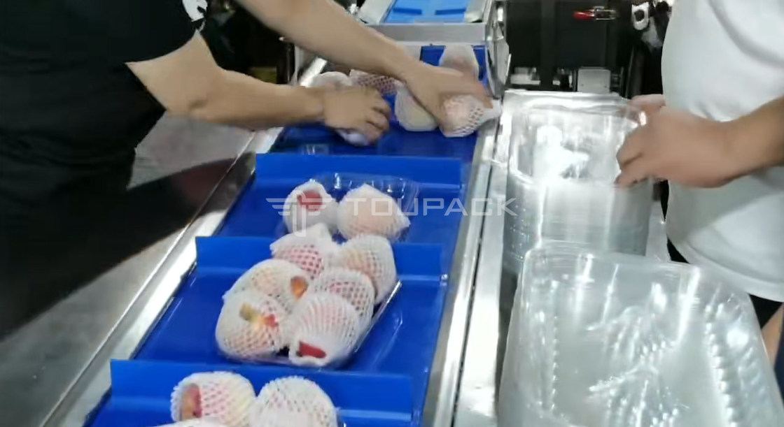 Kussenrolverpakkingsmachine Peer Appel Gewicht Combinatieschaal Fruit Combinatieweger Hoge Precisie Verpakkingsmachine