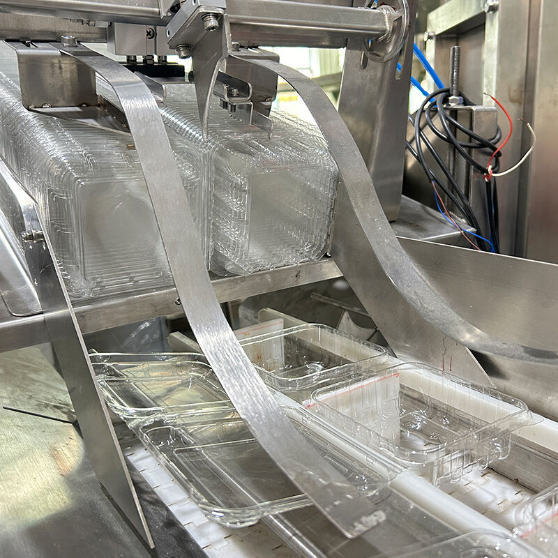 Auto Blueberry Frozen Vege Salad Vegetable Packing Machine Cherry Tomatoes Vegetable Weighing And Packing Machine