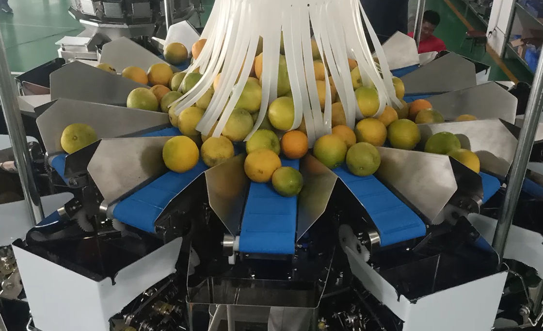 14 de hoofdmachine van de de Wegersverpakking van Multihead MCU/PLC voor Weiging-Vruchten Sinaasappelen