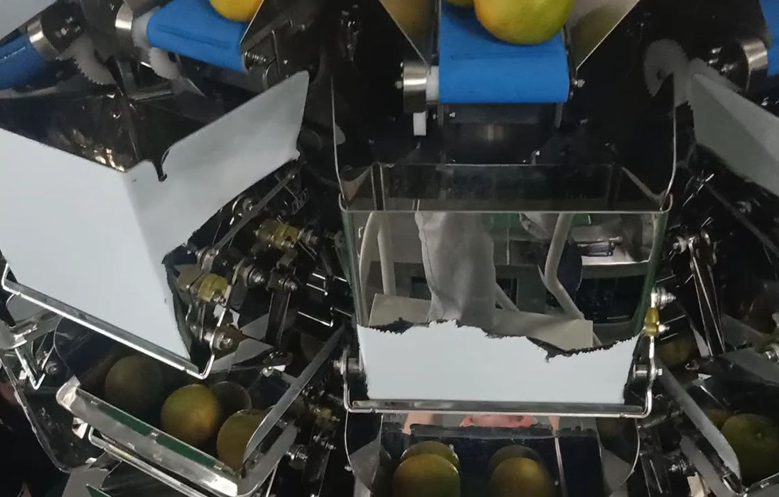 14 de hoofdmachine van de de Wegersverpakking van Multihead MCU/PLC voor Weiging-Vruchten Sinaasappelen