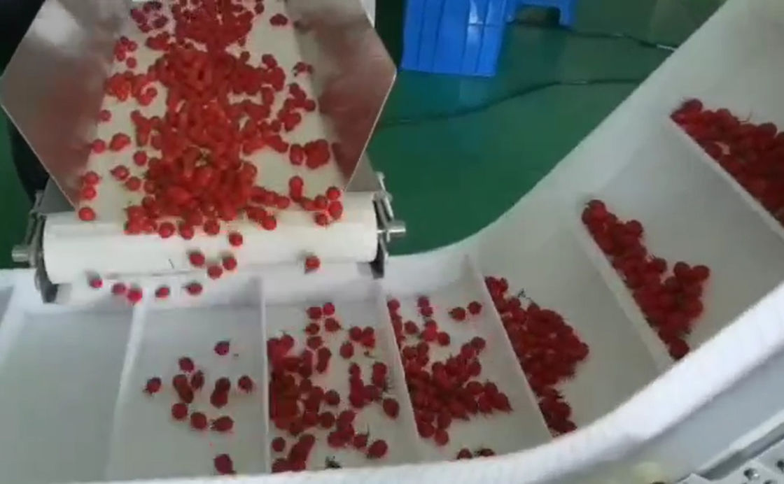 De Weger van SUS304 Multihead Auto Wegend en Verpakkend Systeem voor Cherry Frozen Fruits In Boxes