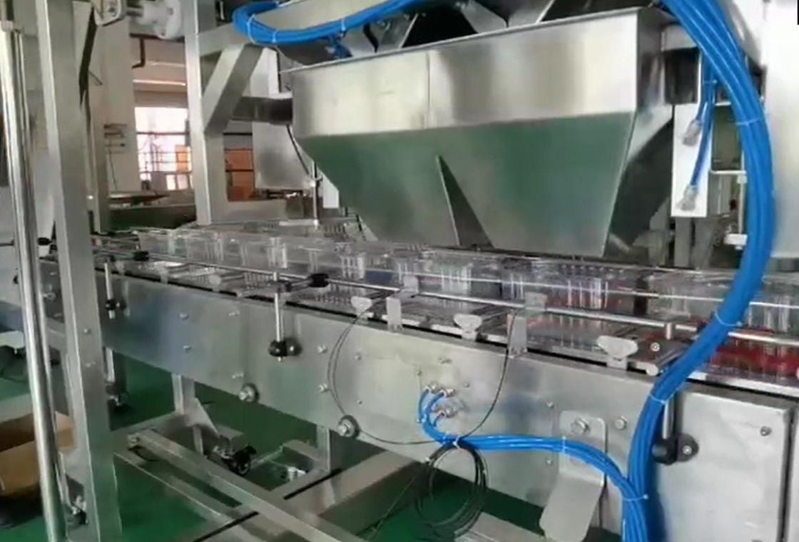 De Weger van SUS304 Multihead Auto Wegend en Verpakkend Systeem voor Cherry Frozen Fruits In Boxes