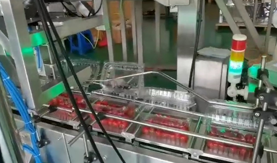 De Weger van SUS304 Multihead Auto Wegend en Verpakkend Systeem voor Cherry Frozen Fruits In Boxes