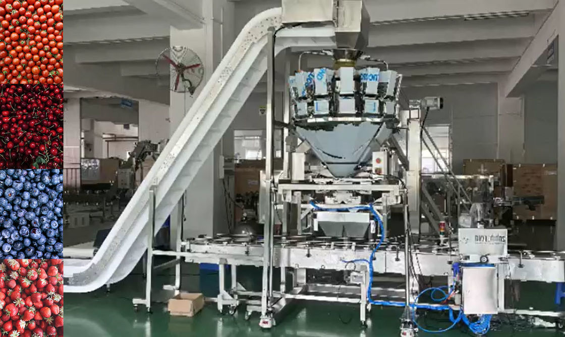 De Weger van SUS304 Multihead Auto Wegend en Verpakkend Systeem voor Cherry Frozen Fruits In Boxes