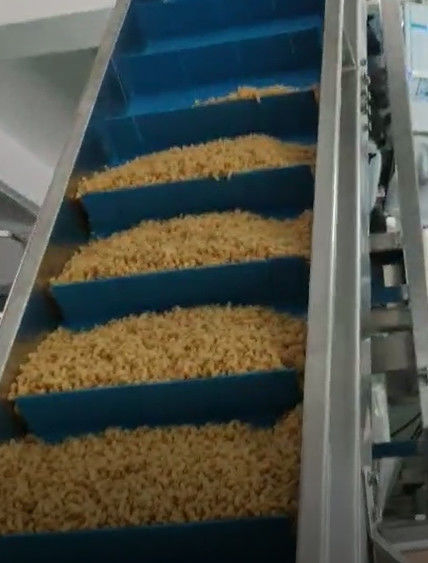 Roestvrij staal 304 van de voedselrooster het Bewijs van het de Machinewater van de Notenverpakking en van het Roestbewijs Huisvesting