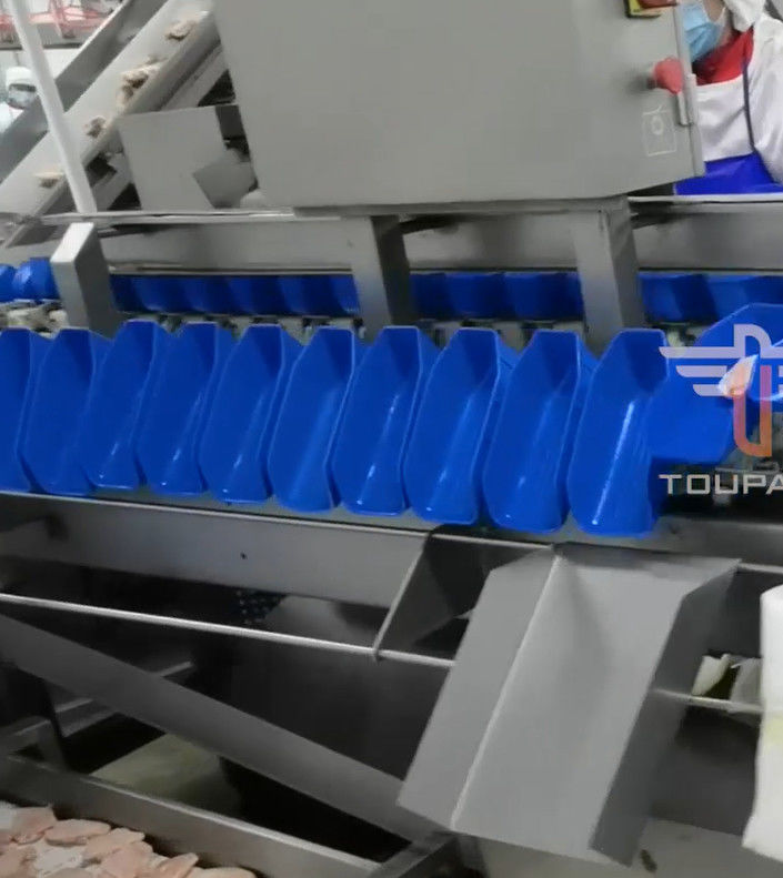 Sorteermachine van het veiligheids de Cirkel Multi Hoofdgewicht voor Overzees Voedsel 300 Keer/Min