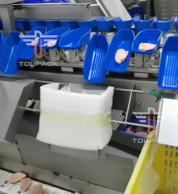 Sorteermachine van het veiligheids de Cirkel Multi Hoofdgewicht voor Overzees Voedsel 300 Keer/Min
