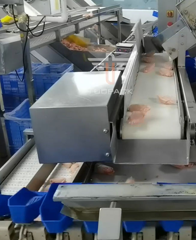 Sorteermachine van het veiligheids de Cirkel Multi Hoofdgewicht voor Overzees Voedsel 300 Keer/Min