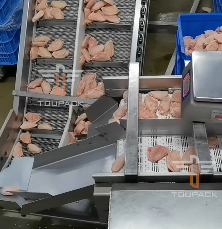 Sorteermachine van het veiligheids de Cirkel Multi Hoofdgewicht voor Overzees Voedsel 300 Keer/Min