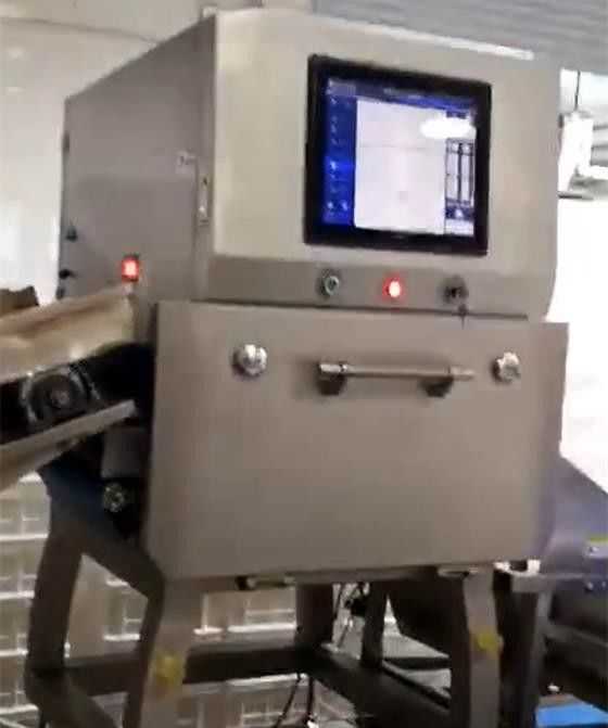1 de Detector van Microsievert/van H X Ray Food Inspection Systems SUS304 voor Chips Nuts