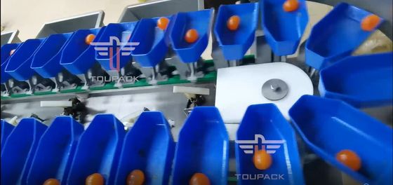 Cirkel het Gewichtssorteermachine van de touch screen Multirang voor de Vruchten van Dooiervissen