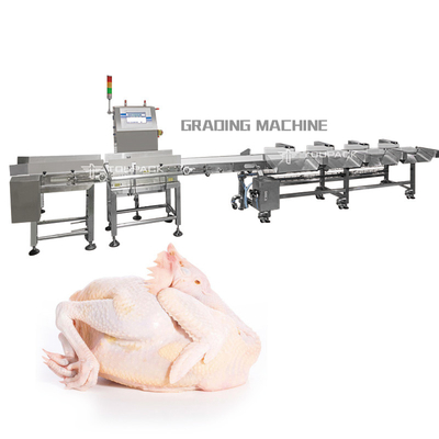 PLC de Automatische van het de Kippen Gehele Vlees van de Gewichtssorteermachine Sorterende Machine