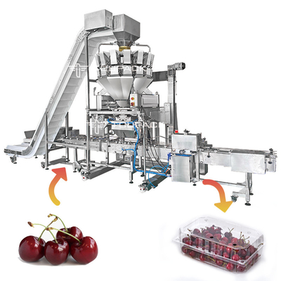 Van de de Groenteverpakking van het Clamshell Verse Fruit van de de Machineboerenkool van de Spinaziekersen de Aardbei Tray Packing Machine