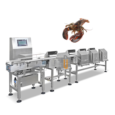 Hoge het Gewichtssorteermachine 2 Niveau 6 van de Nauwkeurigheids Australische Zeekreeft Niveau Sorterende Machine