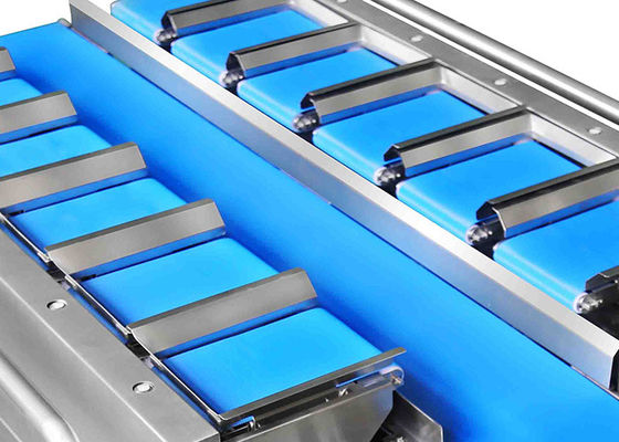 ISO verklaarde 12 Riemip65 Fruit en Plantaardige Verpakkende Machine Plantaardige Weger