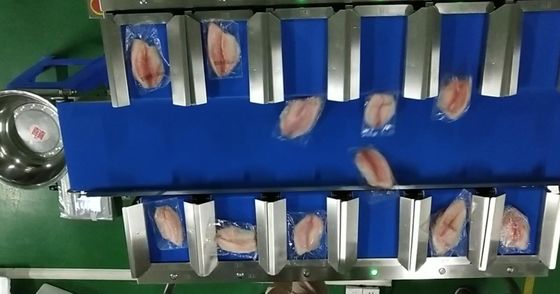 TOUPACK 12 de Hoofd30wpm-Weger van de het SysteemTransportband van de Riemweger voor Overzees Voedsel