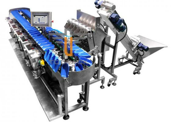 Het Fruit van 300WPM 1000g en de Plantaardige Sorteermachine van het Verpakkende Machinegewicht