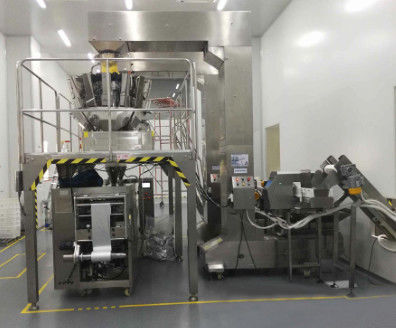 Het Wegen van ISO9001 50Bpm Auto Vullende en Verzegelende Machine voor de Pinda's van de Vissenhuid