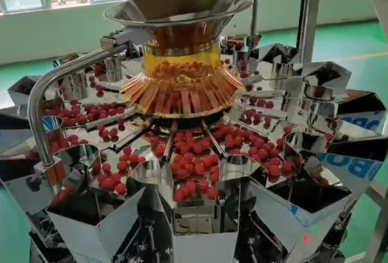 De Weger van SUS304 Multihead Auto Wegend en Verpakkend Systeem voor Cherry Frozen Fruits In Boxes