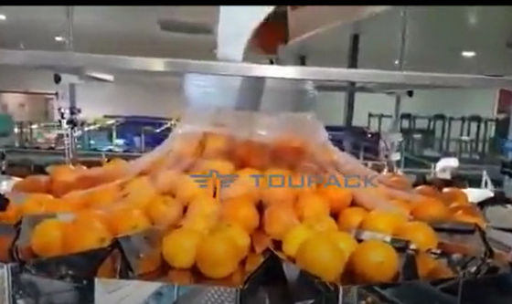 Automatisch Oranje Fruit en Plantaardige Verpakkende Machine met Netto