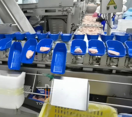 Sorteermachine van het veiligheids de Cirkel Multi Hoofdgewicht voor Overzees Voedsel 300 Keer/Min