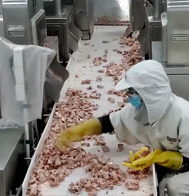 20 zak/Min Multihead Weigher Packing Machine voor het Ijzige Product van het Vleesbeen