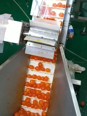 De multidooier die van de Wegers Vacuüm Verpakkende Machine en Project sorteren vervoeren