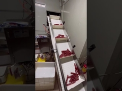 Automatisch weeg- en transportsysteem voor langwerpige worst, hotdog