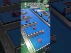 Verpakkingsmachine voor vlees met meerdere gewichten