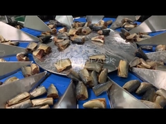 TOUPACK 14 kop Multihead weegmachine voor het wegen van vis