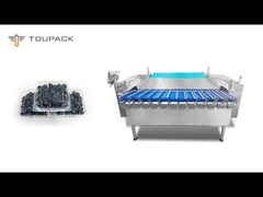 Verpakkingsmachine voor groenten en fruit Automatische VFF Multihead Weiger Saladbox Verpakkingsmachine