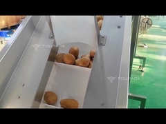 Maaszakverpakkingsmachine uienmaaszakjes knipmachine groenten en fruit maaszakverpakkingsmachine