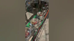 Pakketlijn voor het mengen van papegaaienvoer met 32 koppen Multihead Weigher